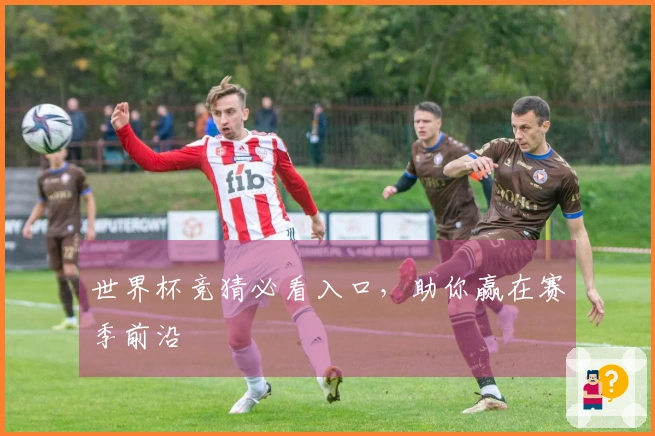 世界杯竞猜必看入口，助你赢在赛季前沿