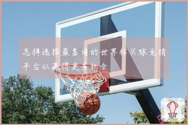 怎样选择最靠谱的世界杯买球竞猜平台以赢得更多机会
