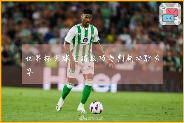 世界杯买球竞猜技巧与判断经验分享